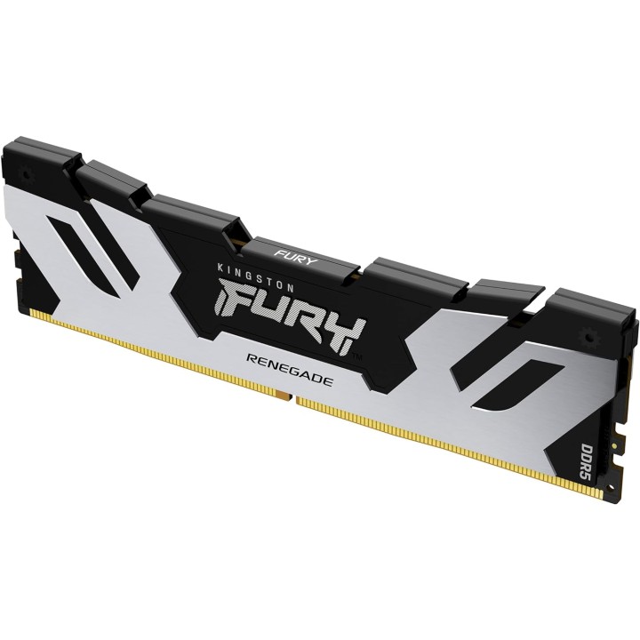 Kingston Fury Renegade DDR5 Argento Nero 5